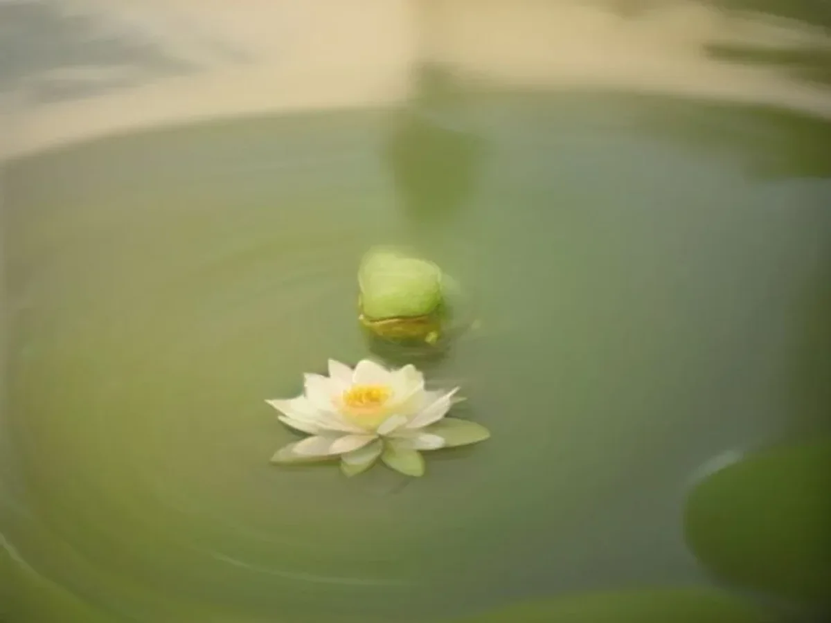 Soft artwork representing SMEFrog